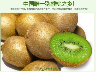 【預售開啟】2015年度優質徐香獼猴桃，邀您搶先品嘗金秋碩果